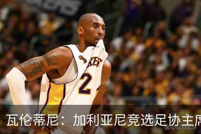 瓦伦蒂尼：加利亚尼竞选足协主席，意甲内部存在分裂